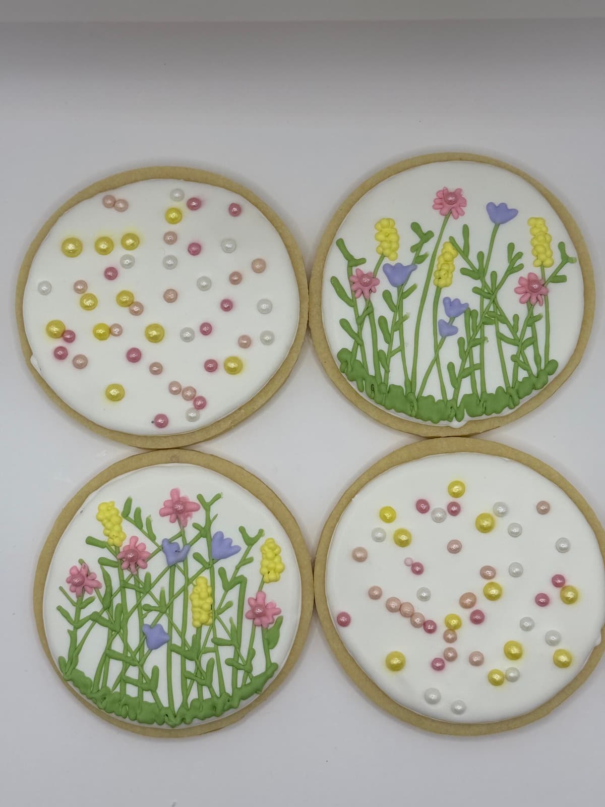 Decorated Sugar Cookies