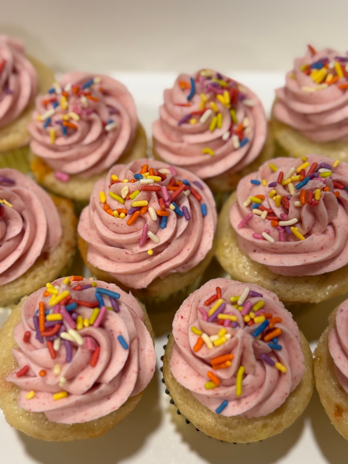 Frosted cupcakes